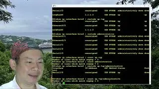 Cisco IOS: 依狀態算出各有幾個埠