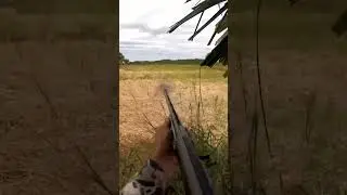 Game Bird Hunting Action | Outdoor Adventure Awaits&rdquo;