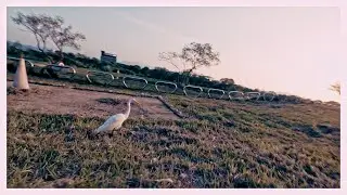 練手指 // CC FRANK FPV