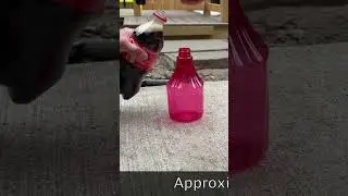 Бетон с открытым заполнителем своими руками, часть 1#howto #concrete #concreteideas #steppingstones