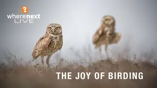 WhereNext Live &ndash; The Joy of Birding From Home &mdash; WhereNext | Colombia Production Company