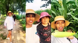 Dapeng takes Kelly to experience picking corn