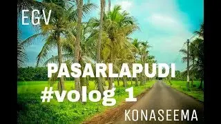 Pasarlapudi my village //#volog1//east godavari vologs