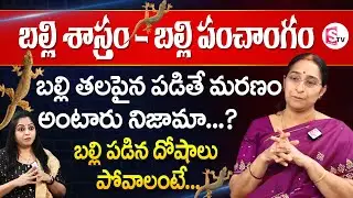 Ramaa Raavi about Balli Sastram ||| Balli Padithe em jaruguthundi ||| Balli Doshalu ||| SumanTV Life