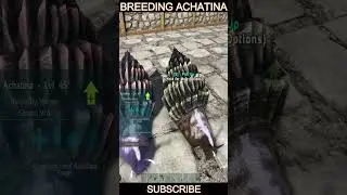 Breeding achatina in ark survival evolved in tamil.  baby achatina in ark tamil.