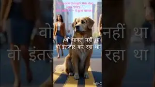 🐶💔Everyone Thought This Dog Was Crazy&hellip; Until They Learned the Truth #emotionalstory #shortvideo