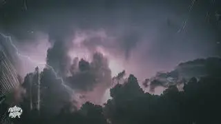 Jack Harlow - Tyler Herro [Lyrics]