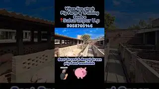 Vikas live stock pig farm & Training centre #pigfarmer #pigfarming #piggerybusiness #PIGGERY