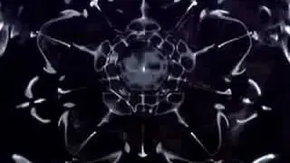 puls pentagonal vib.