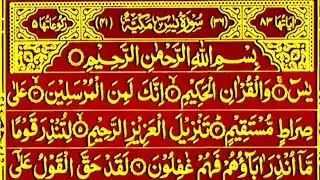 Surah Yaseen Surah Ar Rahman | Best Qur'an Recitation | Surah Yasin Tilawat | Surah Mulk Full 