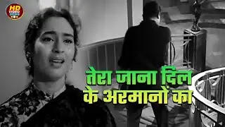 तेरा जाना दिल के अरमानों का | Tera Jana Dil Ke Armano | Anari (1959) #rajkapoor #latamangeshkar
