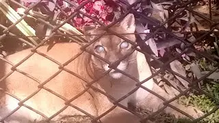 Zoo