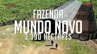 FAZENDA NOVO MUNDO - 3.390 Hectares - Altamira - Pará