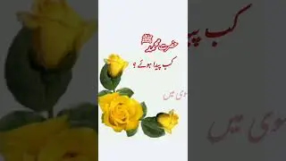 When was Hazrat Muhammad Sallallahu Alaihi Wasallam born? #education#General Knowledge A to z