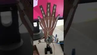 BME 2210 Final Sensor Project