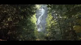 Whistler, Shannon Falls, Gondola Tour