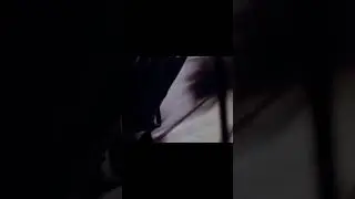 54 anos do pouso na Lua!