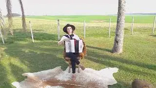 Aulas de GAITA PONTO Online 051.992876943