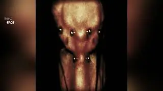 9mice - ORPHEUS (Full Album, 2023)
