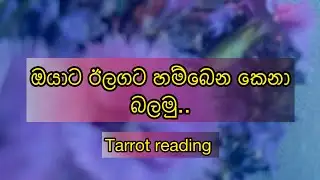 ඔයාගෙ next partner  කවුද?/එයා මෙහෙම කෙනෙක්ද?
