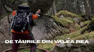 Solo Wandelen in de Karpaten: De Meren uit het Kwaad Dal. (De Tăurile din Valea Rea)