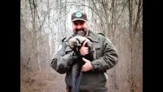 Jason Fisher: Camera Trapping Brings the Effects of Development into Focus