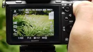 Commlite ENF-E1, Nikon 50mm f/1.4G AF-S Nikkor, Sony ILCE-7RM2: скорость автофокуса