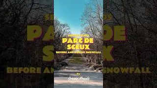 Parc de Sceaux - Before and During Snowfall #sereneroads #parcdesceaux