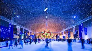 Winter Wonder Fest Is Coming Back To Navy Pier!