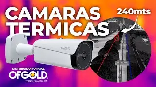 Cámara Seguridad Térmica, Protección perimetral 240mts Detección de Humanos | Dahua TPC-BF5401