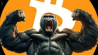 All New Episodes NFT News Top NFT Floor Price$ My Coin picks 🎯&more $15to$600 SR