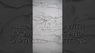 Dakar Quartzite | Perfect for kitchen renovations and remodels #countertops