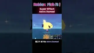 피쉬잇 버그 그 잡채, Bug fish 