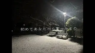 窓辺