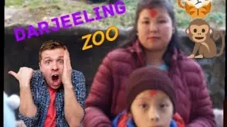 🫣Darjeeling zoo 🤩