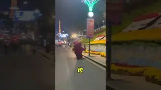 Giant bear was chasing her