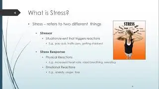 PH 1000 Chapter 2 Stress: The Constant Challenge