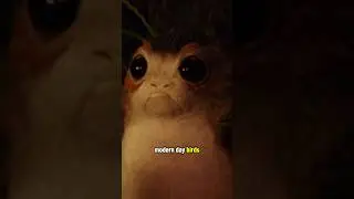 Are Porgs Dinosaurs?