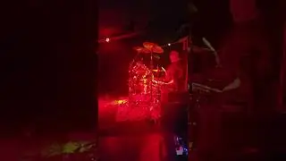 Fred Zeppelin - WLL Into Paranoid 