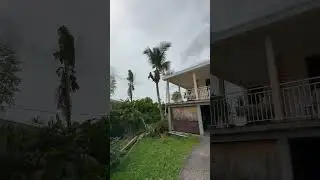 Test Montage vid&eacute;o &Eacute;lagage cocotier