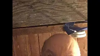 KAFM