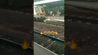 train accident with dog#short #viral #youtubeshort