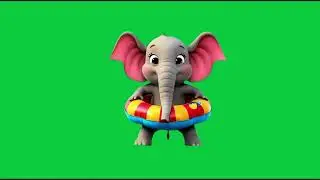 L'éléphant avec une bouée a la plage 4k Green Screen4