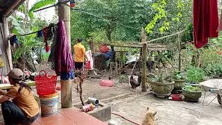 My Hometown Adventure: A Journey Through Time and Tradition