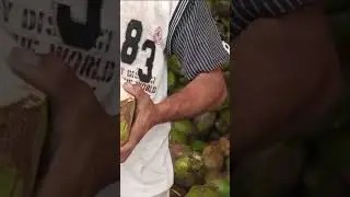 One hand show - rugged big billhook cutt #coconut  #cuttingskills #shorts  #street #indianstreetfood