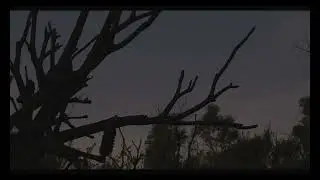 Alex Velasco - Brittle (Official Video)