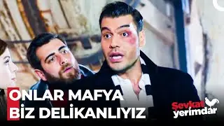 Şevkat'ten Dev Operasyon - Şevkat Yerimdar
