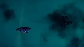 Caeruleum Lagrange Cloud - Elite Dangerous