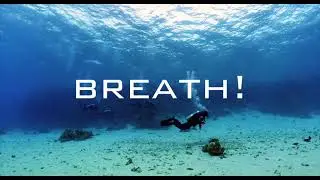 Dive with L&W Compressors