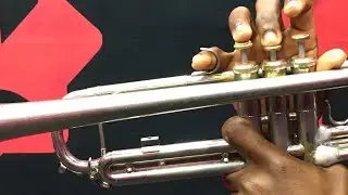 How to play E-Major scale on trumpet now(Db concert)🎧🎼🎺